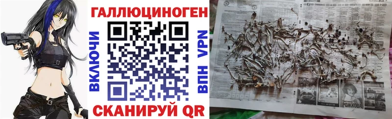 Галлюциногенные грибы мицелий  Купить закладки  Белово 